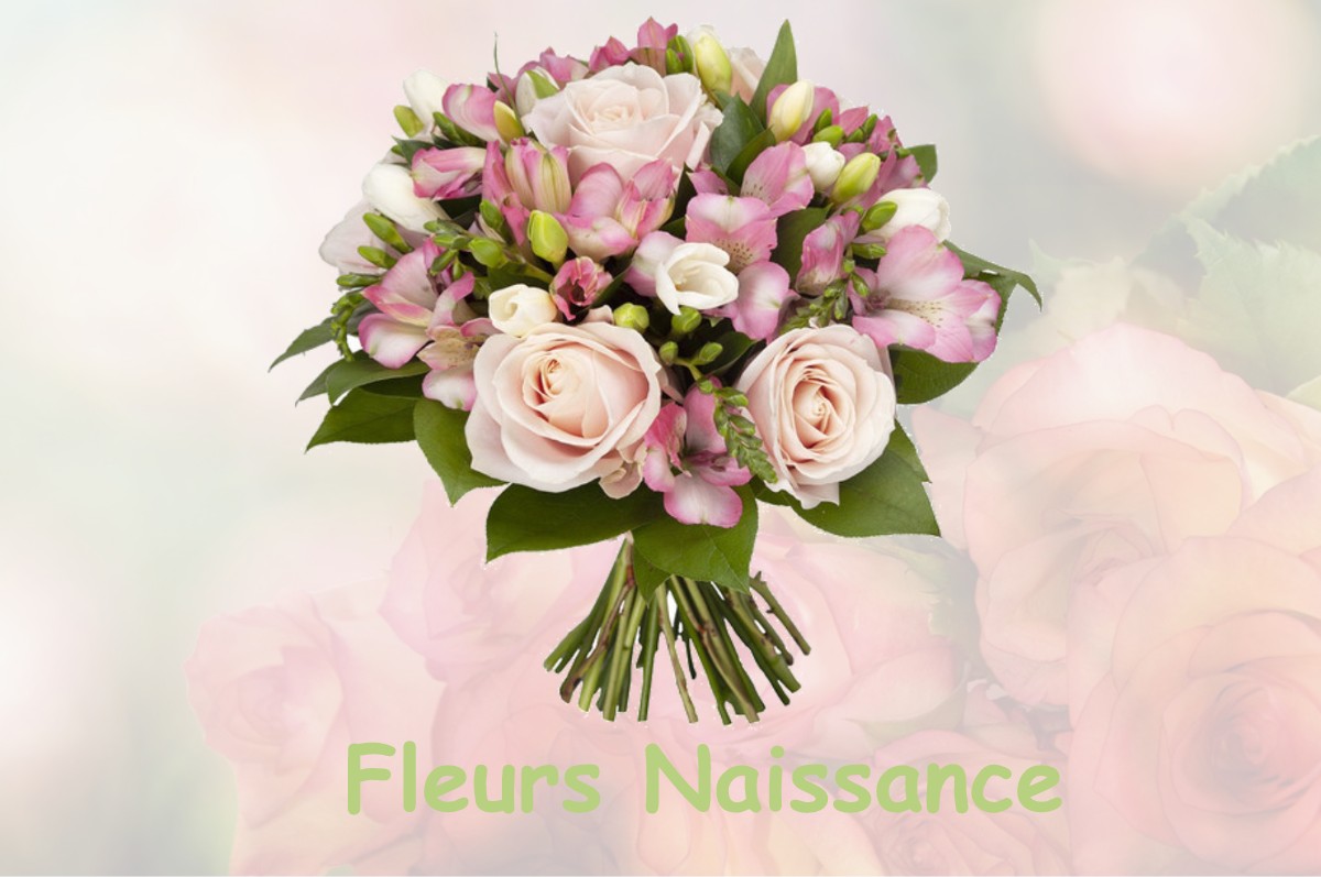 fleurs naissance SAINT-ANTONIN